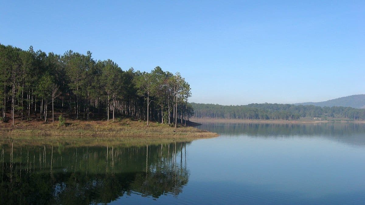 Tuyền Lâm Lake with its pine-covered shore reflected in still water under a clear sky